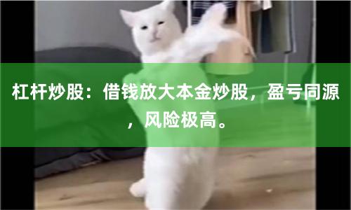 杠杆炒股：借钱放大本金炒股，盈亏同源，风险极高。