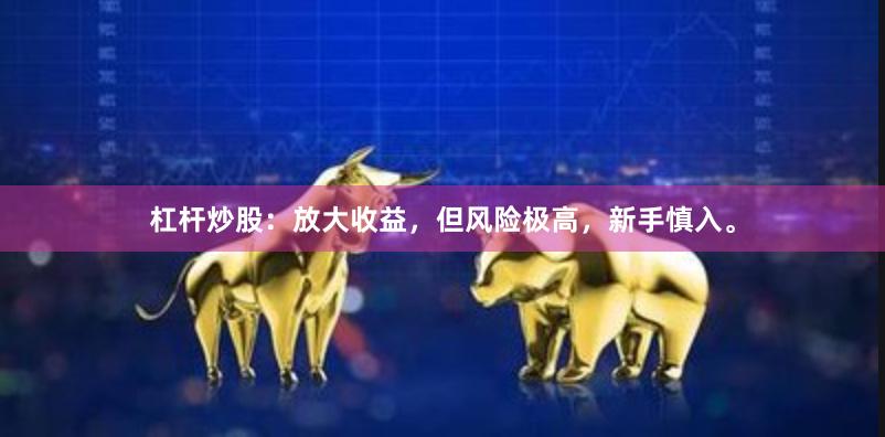 杠杆炒股：放大收益，但风险极高，新手慎入。