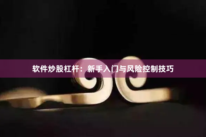软件炒股杠杆：新手入门与风险控制技巧