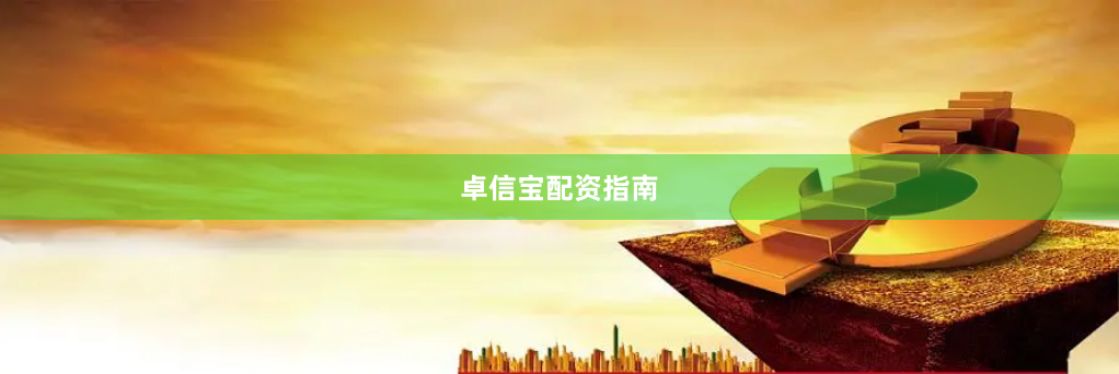 卓信宝配资指南